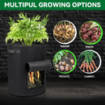 Betta Grower Grow Anywhere with 5/7/10 Gallon Fabric Plant Pots!